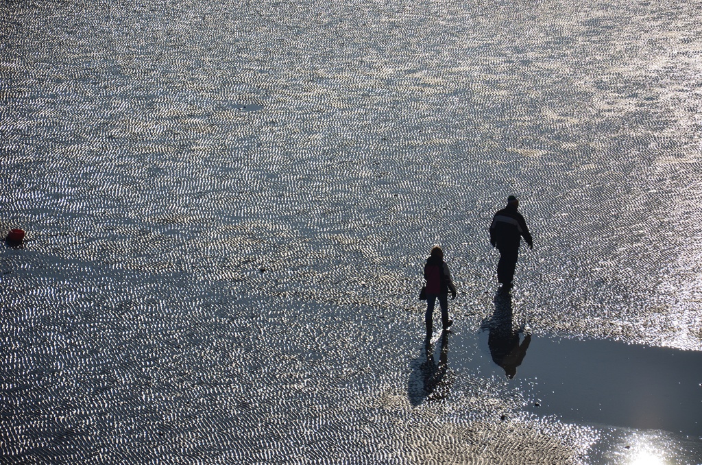 2016-12 France/Mont St Michel/DSC_0056.JPG